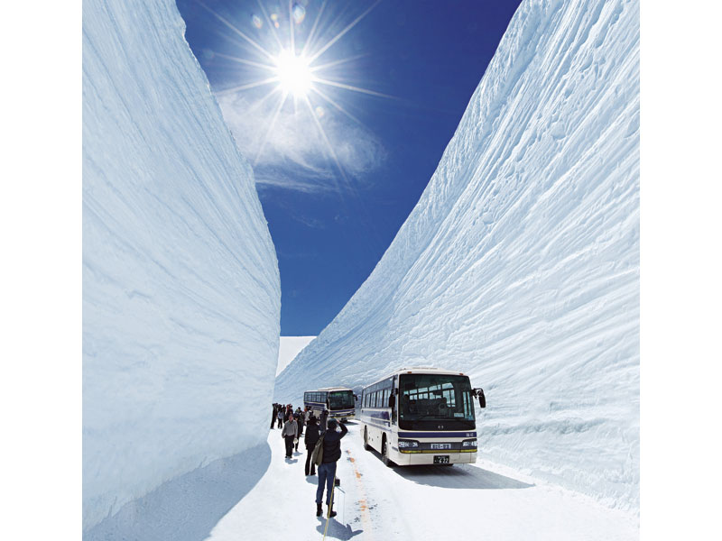 立山黑部阿爾卑斯山脈路線 雪之大谷與櫻花天下第一的高遠城址公園 2日遊