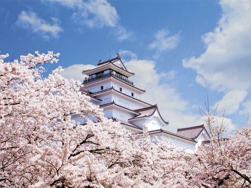 日本三大櫻花・三春滝櫻＆合戰場垂枝櫻＆鶴之城公園賞櫻 一日遊
