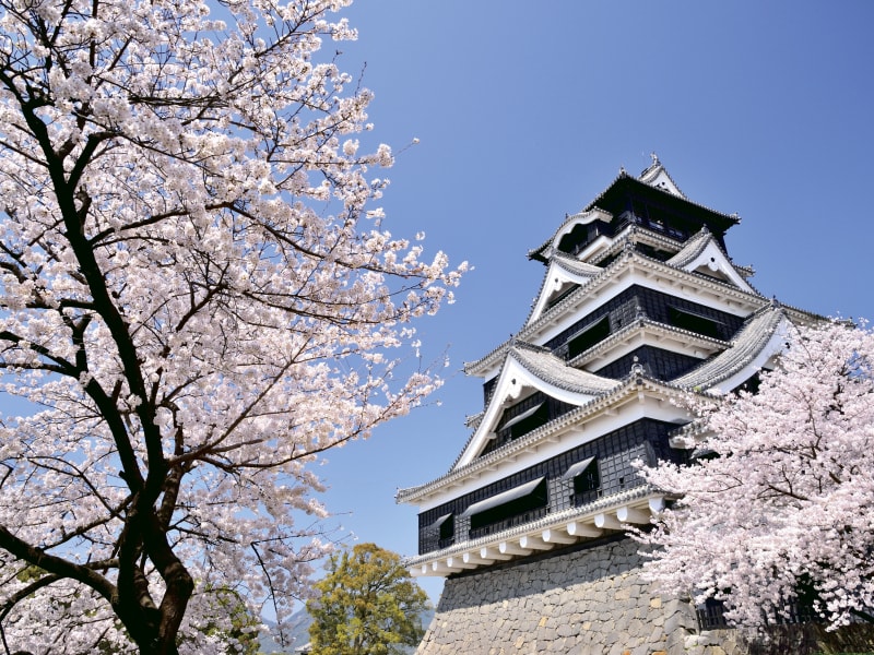觀賞熊本城・水前寺成趣園・菊池公園的櫻花 一日遊