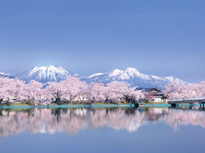 余里一里 花桃之里・高遠城址公園・臥龍公園賞櫻 一日遊