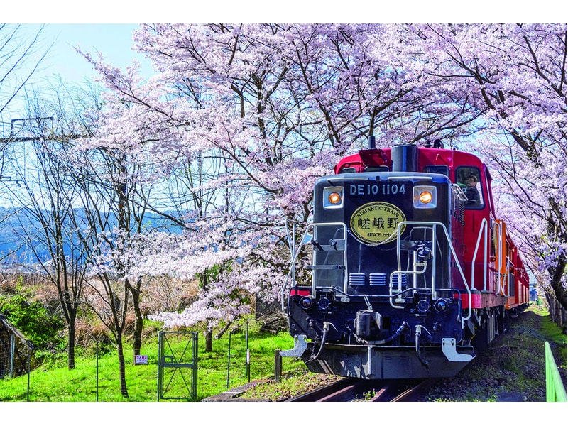 利用3種交通工具賞櫻！嵯峨野遊覽小火車・宇治川遊船・八幡山纜車  京都・滋賀一日遊