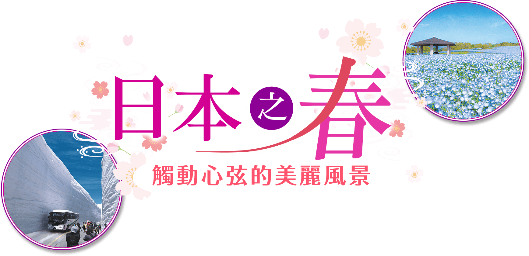 日本之春，觸動心弦的美麗風景